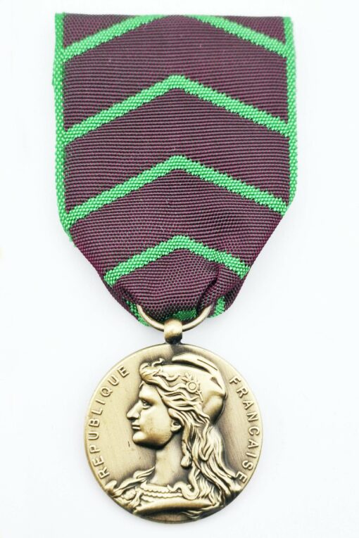 Médaille d'honneur de la Protection Judiciaire de la Jeunesse Bronze – Image 2