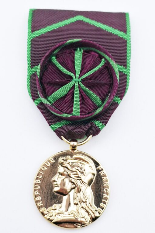 Médaille d'honneur de la Protection Judiciaire de la Jeunesse Or – Image 2