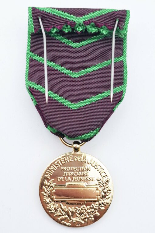 Médaille d'honneur de la Protection Judiciaire de la Jeunesse Or – Image 3