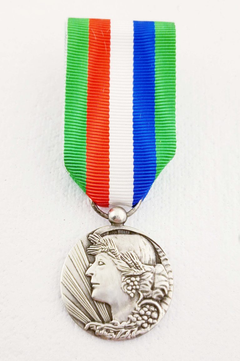 Médaille/Plaquette En Bronze Argenté - 'Comice Agricole De L'Arrondissement De Clamecy' - Art Nouveau