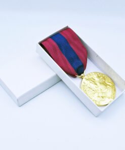 Médaille de la Défense Nationale Bronze